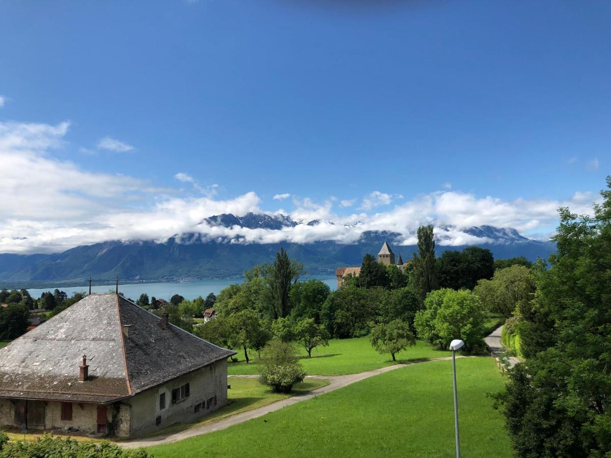 La Maison Des Copains Blonay Екстер'єр фото